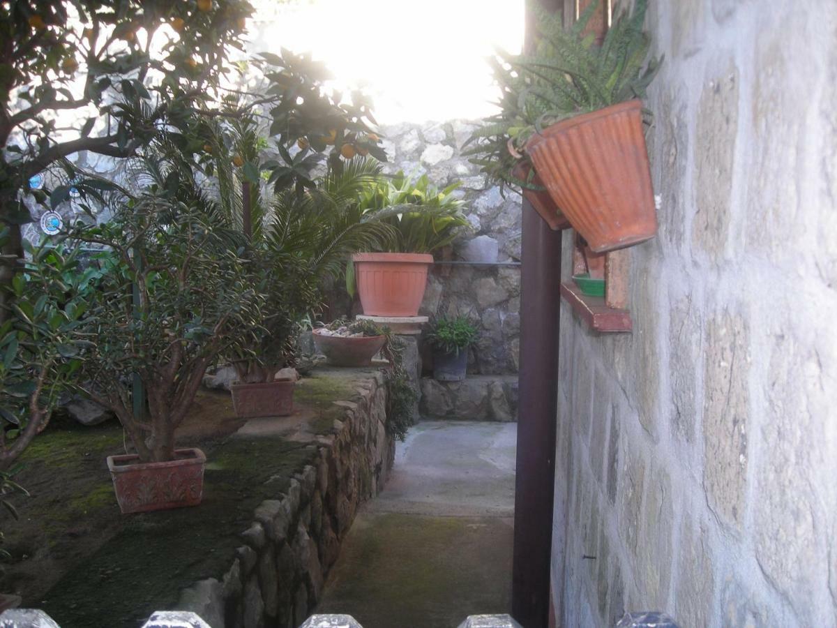 B&B L'Arcobaleno Sorrento Exterior photo
